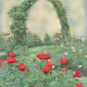 Dawn In The Rose Garden Poster