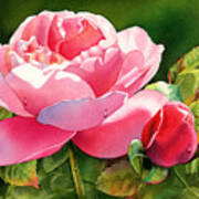 Dazzling Rose Poster