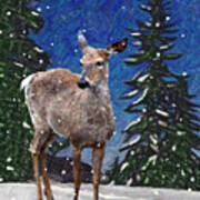 Deer In Snow Poster