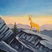 Deer On Grandfather Mountain Poster