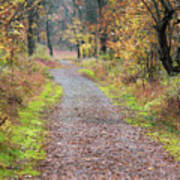 Delaware Water Gap Nps - Mcdade Trail In Autumn Poster