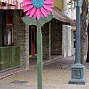 Delightful Street In San Antonio Texas Poster