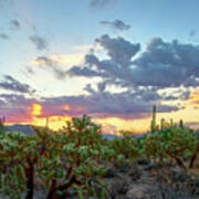 Desert Awakening - Dawn In The Cactus Landscape Poster