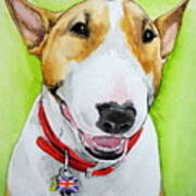 Dexter English Bull Terrier Poster