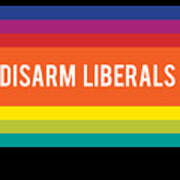 Disarm Liberals Poster