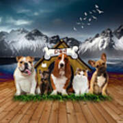 Dogs And Cats Poster