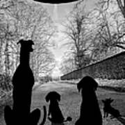 Dogs Spy Alien In Flying Saucer Poster