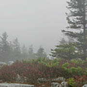 Dolly Sods Fog Panorama Poster