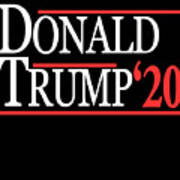 Donald Trump For President 2020 Poster