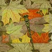 Dragonfly Fall Poster