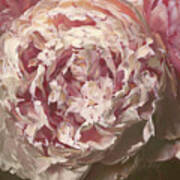 Drama Queen Peony Poster