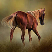 Dream Horse Poster