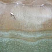 Drone Aerial Of White Dog Running And Playing At Empty Sandy Beach Poster