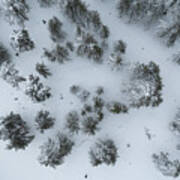 Drone Aerial Scenery Of Mountain Snowy Forest And People Playing In Snow. Wintertime Season Poster