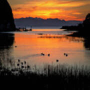 Ducks At Sunrise, San Pablo Bay Poster