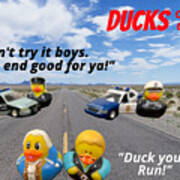 Ducks On Da Run Poster