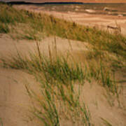Dune Grass Along Lake Michigan Sl10664 Poster