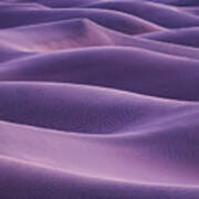 Dunes At Dawns Light Poster
