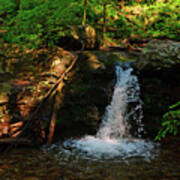 Dunnfield Creek Waterfall Spring Green Poster