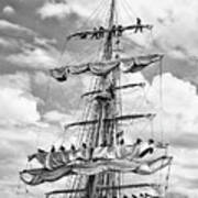 Eagle In The Sails Black And White Poster