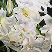 Easter Lilies Poster