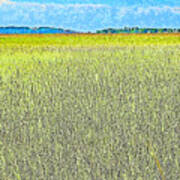 Endless Seagrass Of Savannah Poster