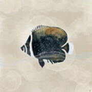 Exotic Butterflyfish In Earth Tones - Neutral Color Palette Poster