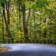 Fall Color Country Road - Clifty Park - Indiana Poster