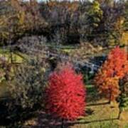 Fall Dodge Park Bridge View Dji_0295 Poster