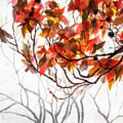 Fall Leaves - Watercolor Art Poster