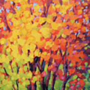 Fall Trees Poster