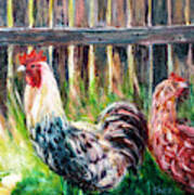 Farm Yard Chicken - Acrylic Art Poster