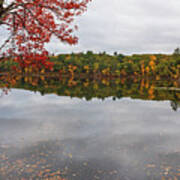 Farrar Pond In Lincoln Massachusetts Fall Foliage Autumn Reflection Poster