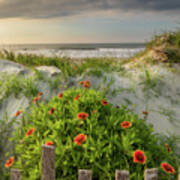 Fence And Flowers Folly Beach Poster