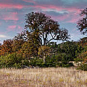 Fiery Sunset Colors Over A Prairie In Canyon Lake - Comal County Texas Hill Country Poster