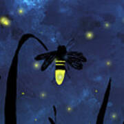 Firefly Night Poster
