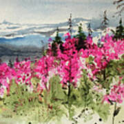 Fireweed Poster