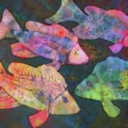 Fish Painting - New School Poster