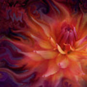 Flaming Dahlia Poster