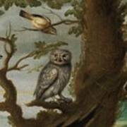 Flemish School  Century An Owl And A Hoopoe And Other Birds In A Tree Poster