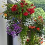 Floral Hanging Baskets - Llangollen Uk Poster