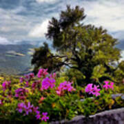 Flower Box Over Umbria Poster