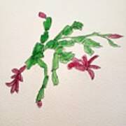 Flowering Cactus Poster