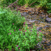 Flowers In A Mountain Stream Poster