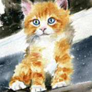 Fluffy Ginger Kitty Painting Poster