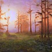 Foggy Florida Cypress Sunrise Poster