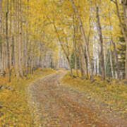 Follow The Yellow Leaf Road Poster