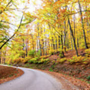 Forest Serpentine Road In Autumn Poster