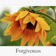 Forgiveness Poster
