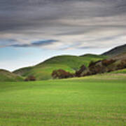 Fresh Grass In San Miguel Poster